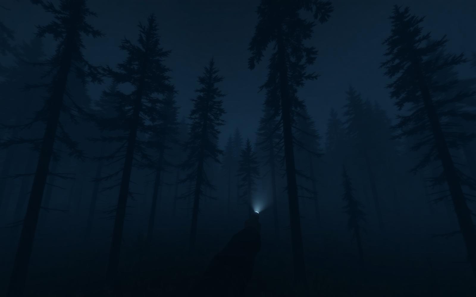 Flashlight in a foggy dark pine forest